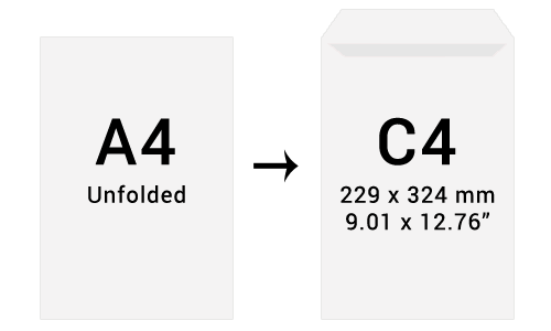 791303-1-2.png